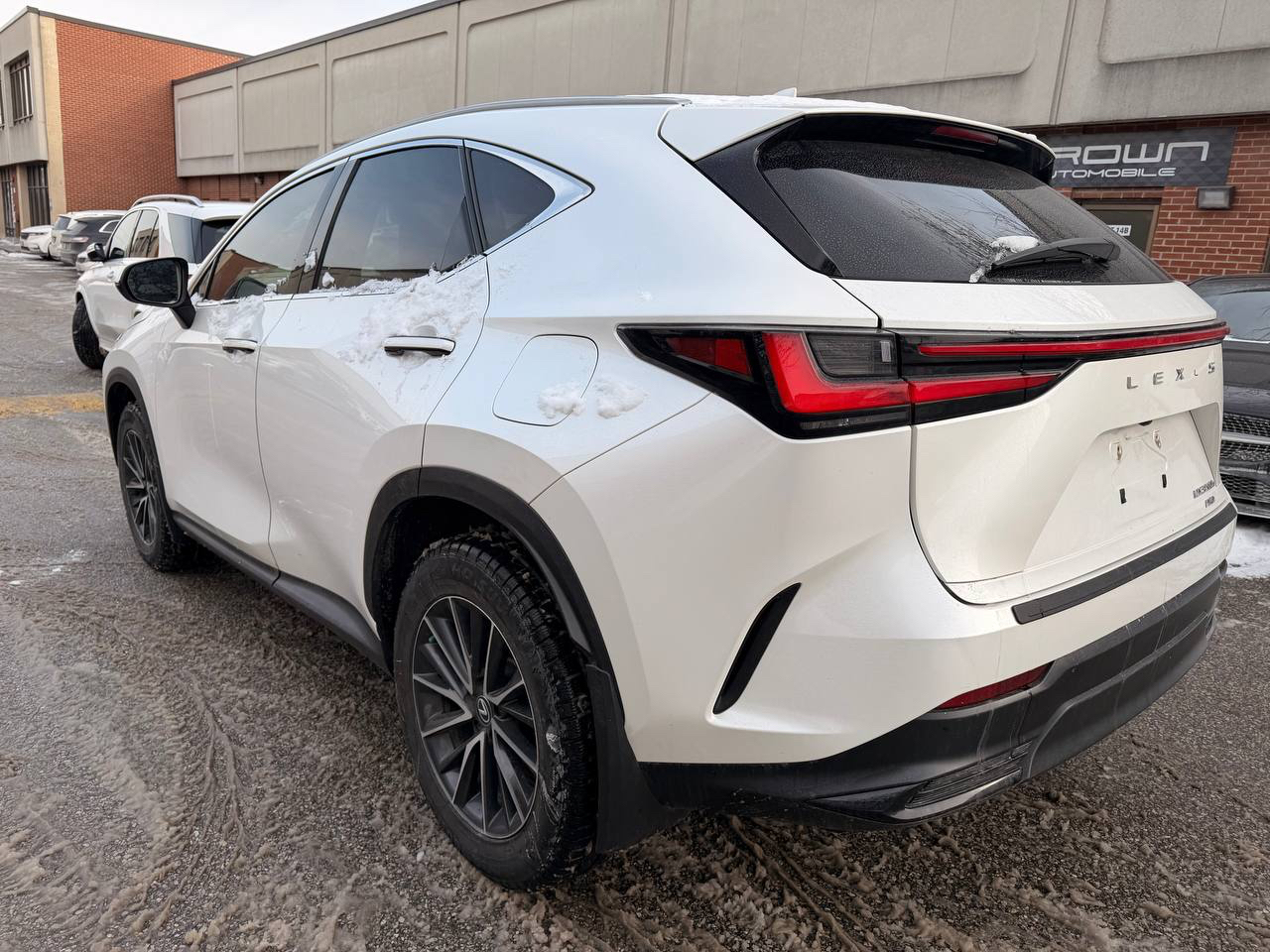 2024 Lexus NX