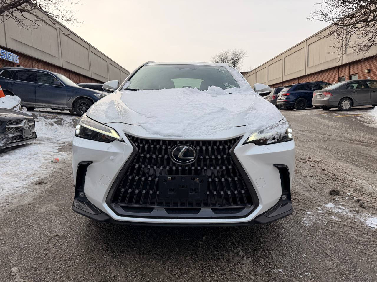 2024 Lexus NX