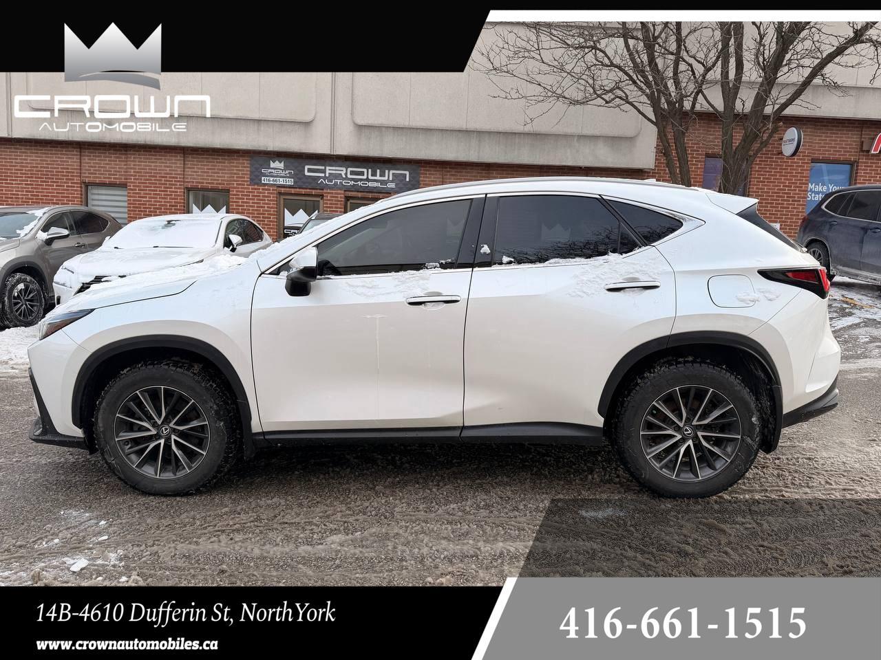 2024 Lexus NX