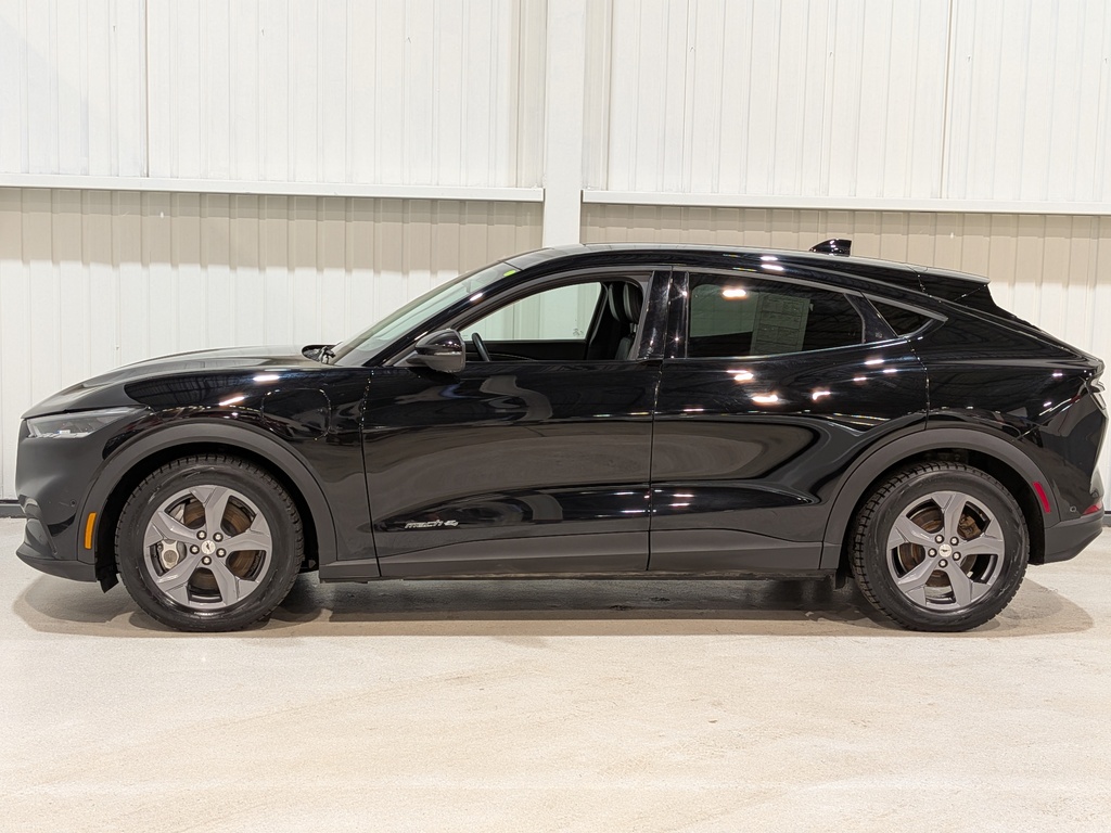 Ford Mustang Mach-E 2023