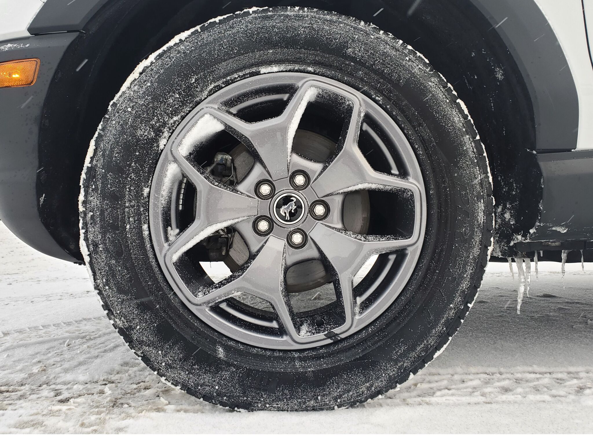 2024 Ford Bronco Sport