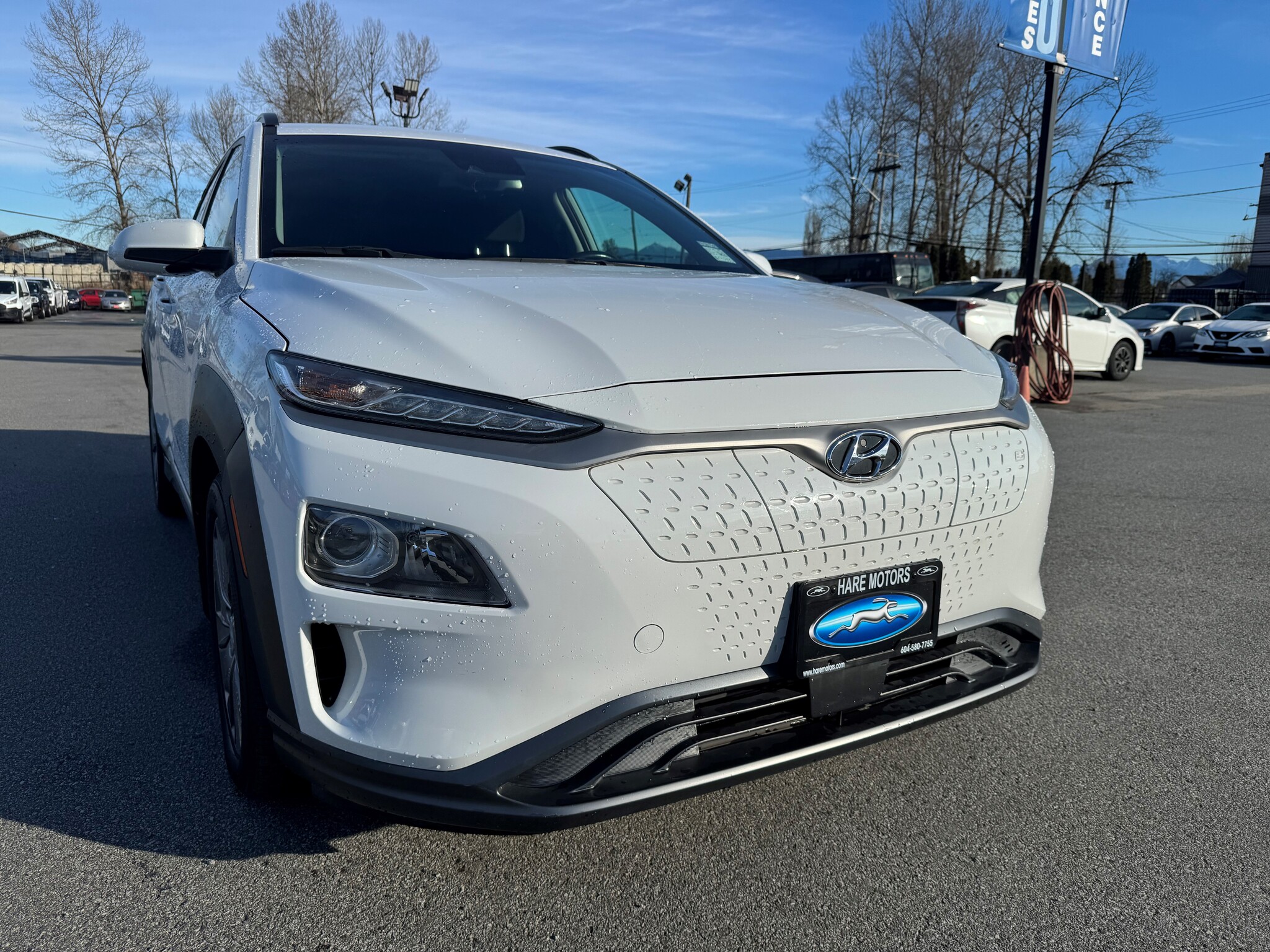 2019 Hyundai Kona Electric