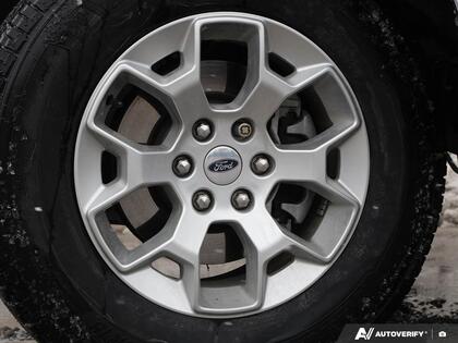 used 2023 Ford F-150 car, priced at $45,500