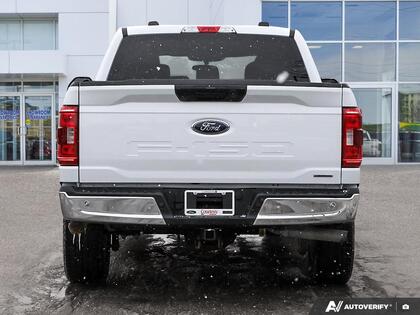 used 2023 Ford F-150 car, priced at $45,500