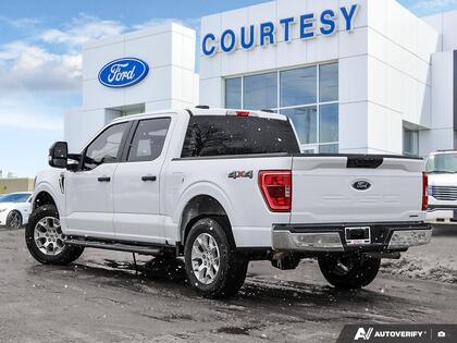 used 2023 Ford F-150 car, priced at $45,500