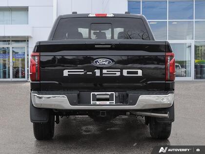 used 2024 Ford F-150 car, priced at $53,999