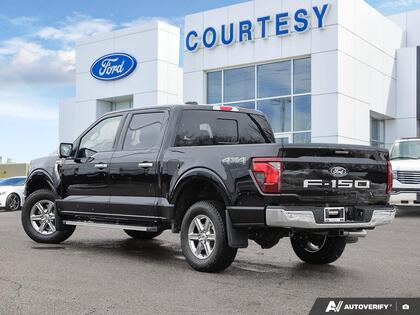 used 2024 Ford F-150 car, priced at $53,999