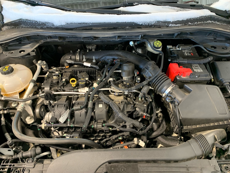 2021 Ford Escape - Gallery image 10