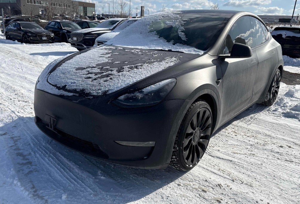 2022 Tesla Model Y