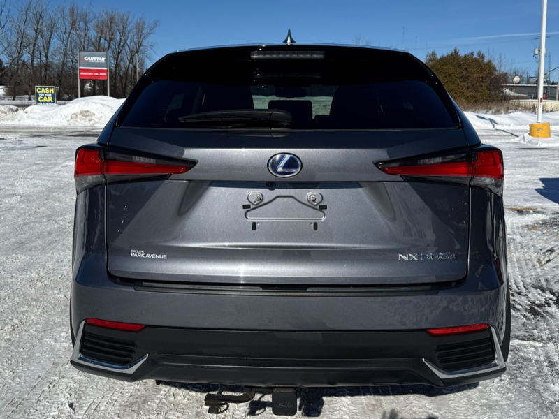 2020 Lexus NX 300h - Gallery image 5