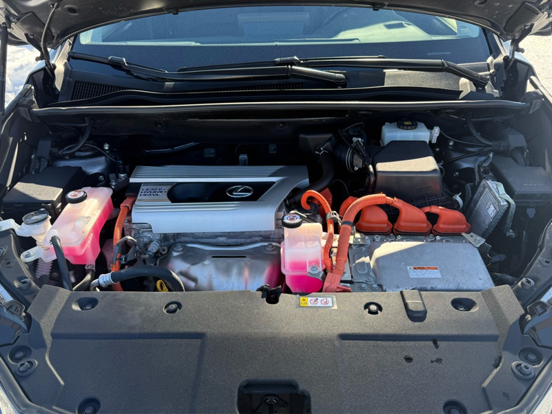 2020 Lexus NX 300h - Gallery image 30