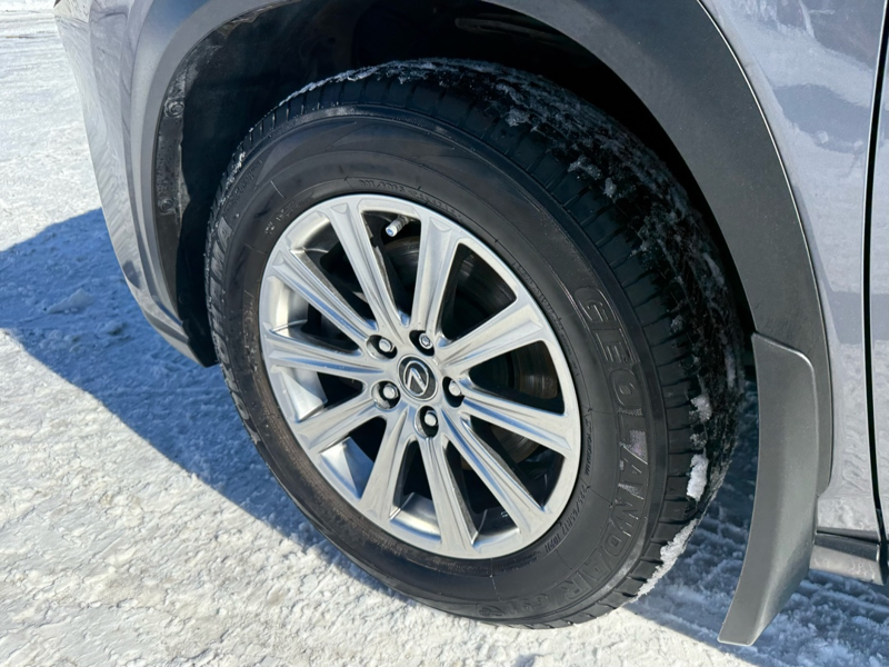 2020 Lexus NX 300h - Gallery image 7