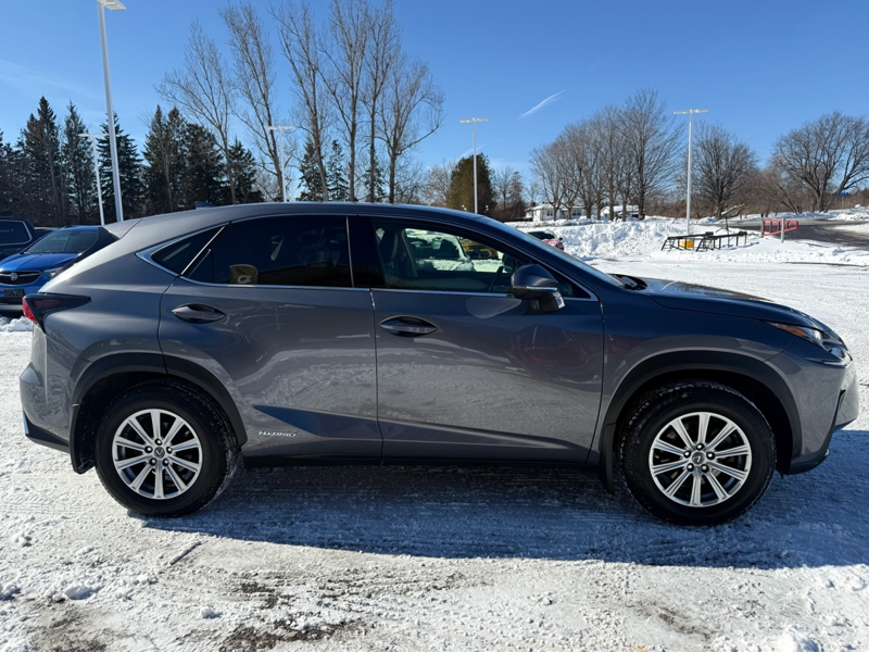 2020 Lexus NX 300h - Gallery image 4