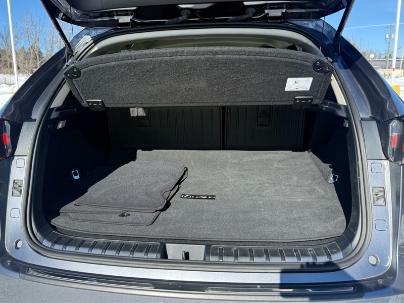 2020 Lexus NX 300h - Gallery image 29