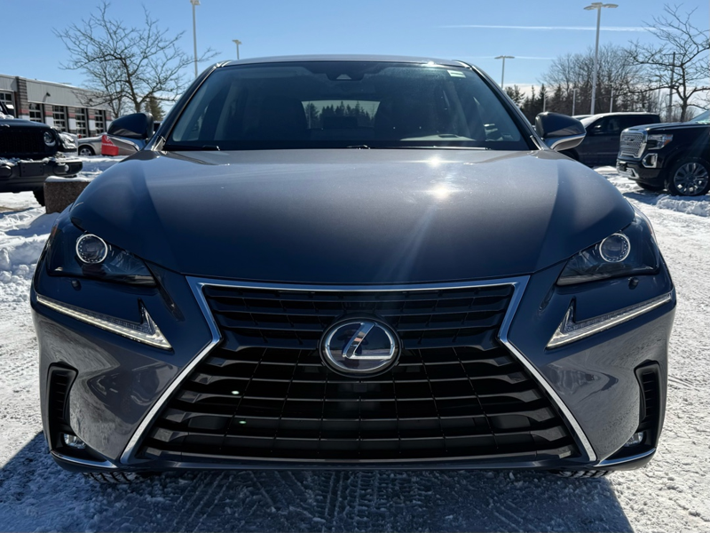 2020 Lexus NX 300h - Gallery image 1