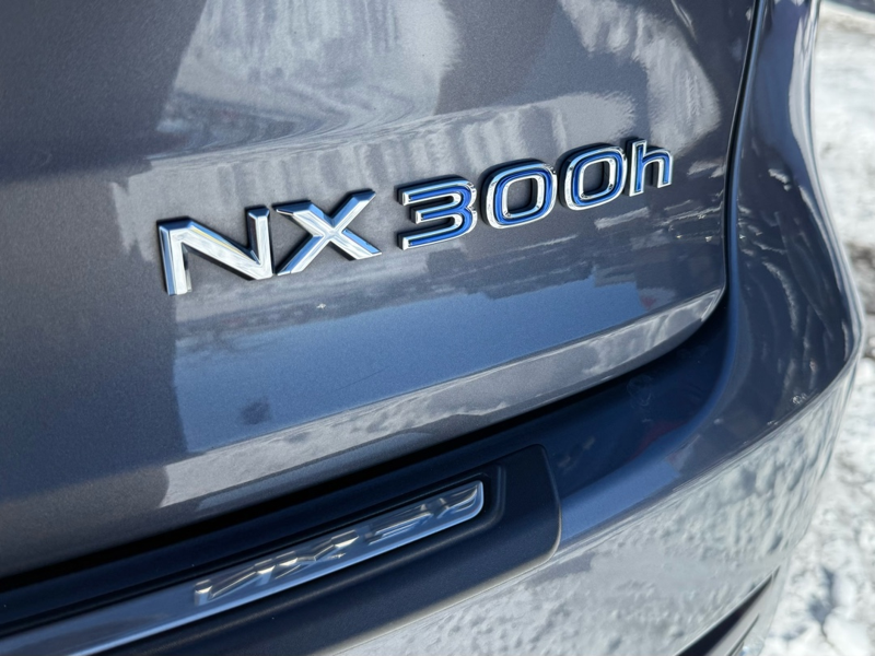 2020 Lexus NX 300h - Gallery image 8