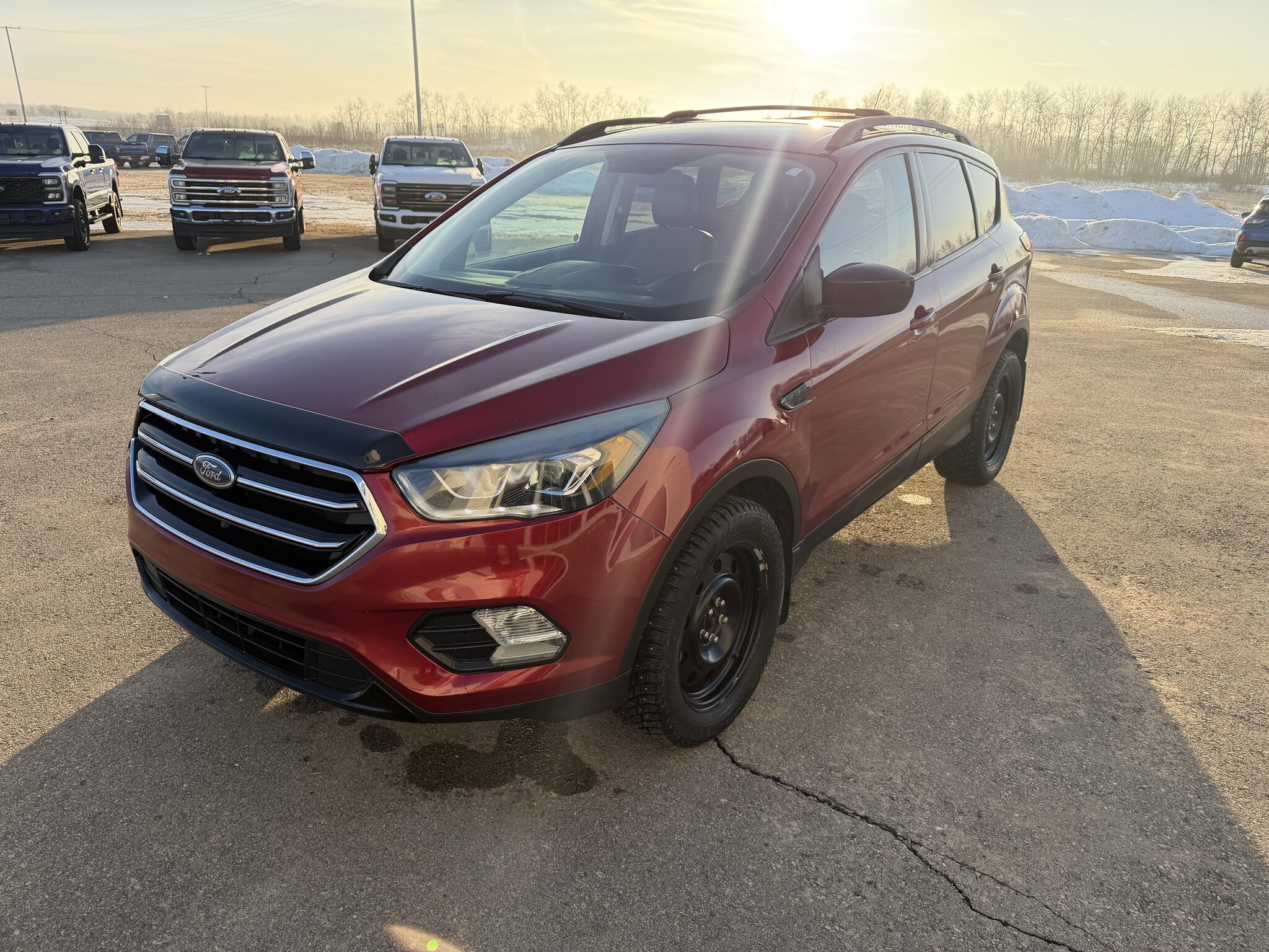 2019 Ford Escape