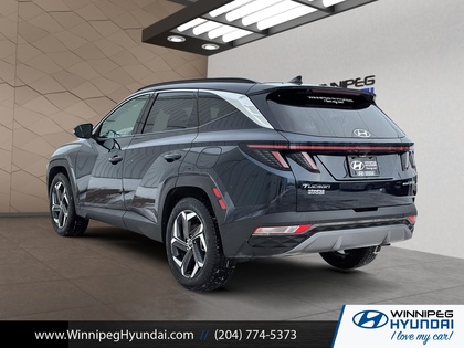 used 2024 Hyundai Tucson Hybrid car, priced at $35,399