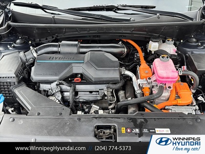 used 2024 Hyundai Tucson Hybrid car, priced at $35,399