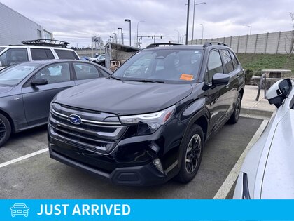 used 2025 Subaru Forester car