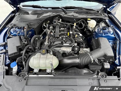 used 2022 Ford Mustang car, priced at $36,388