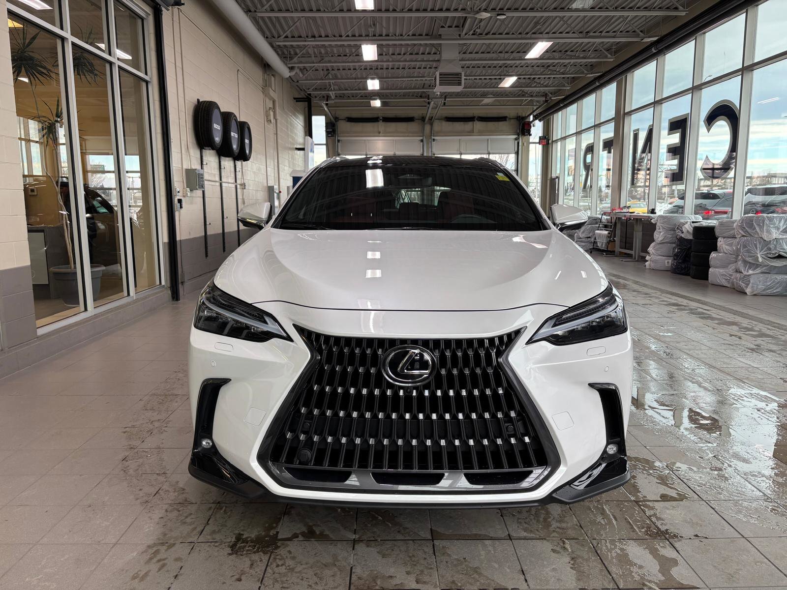 2025 Lexus NX