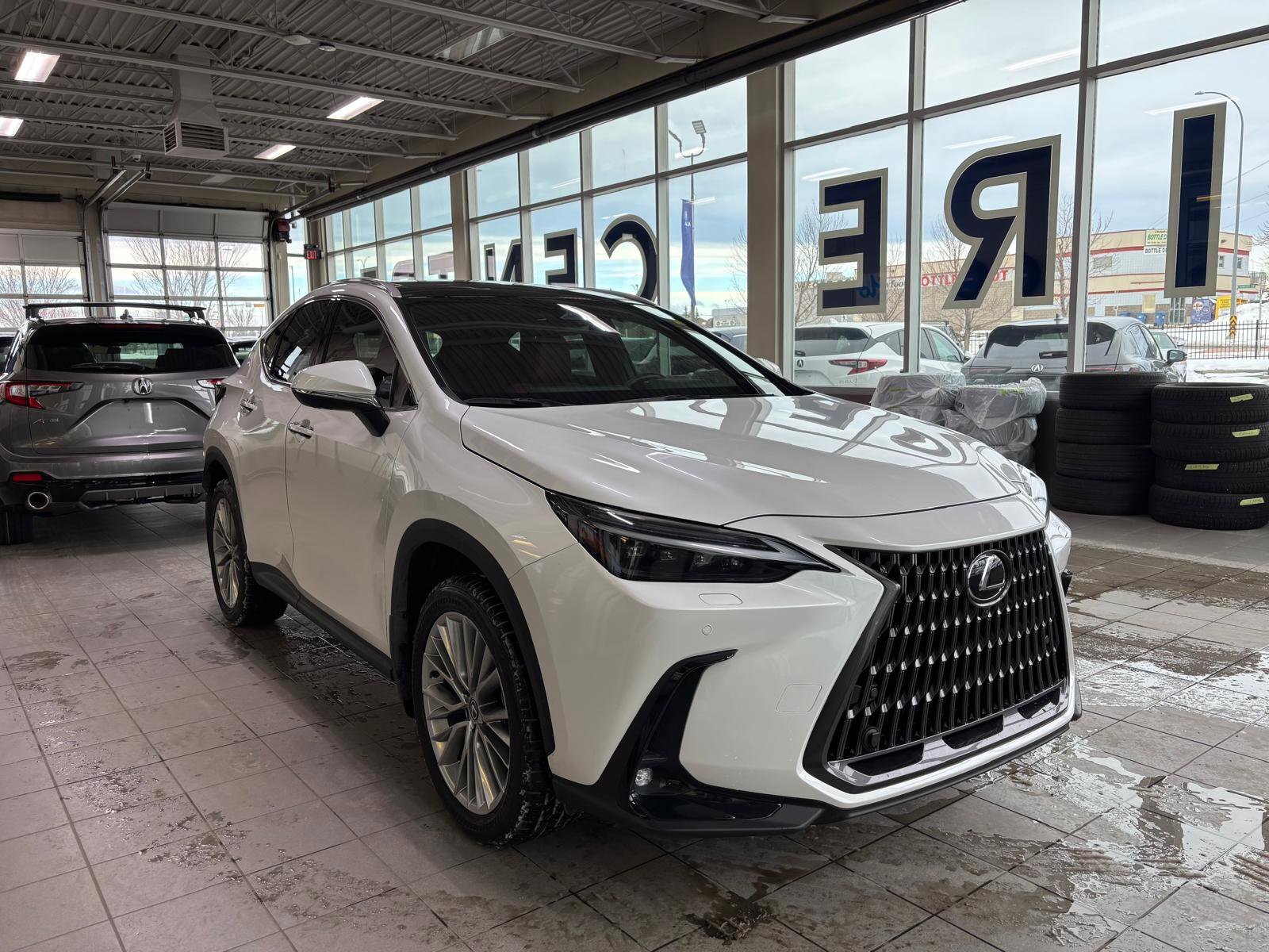 2025 Lexus NX