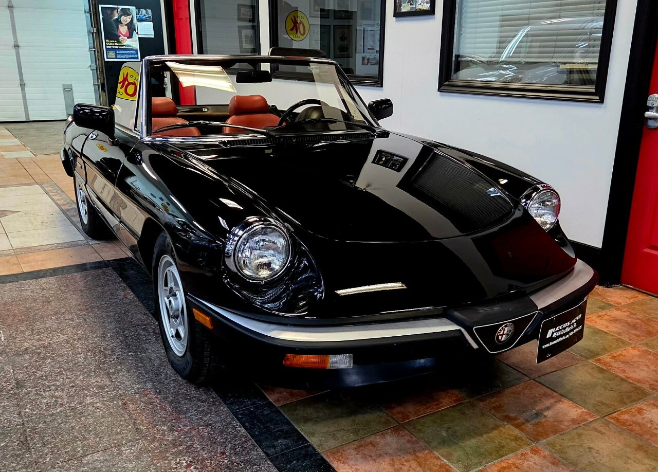1987 Alfa Romeo Spider