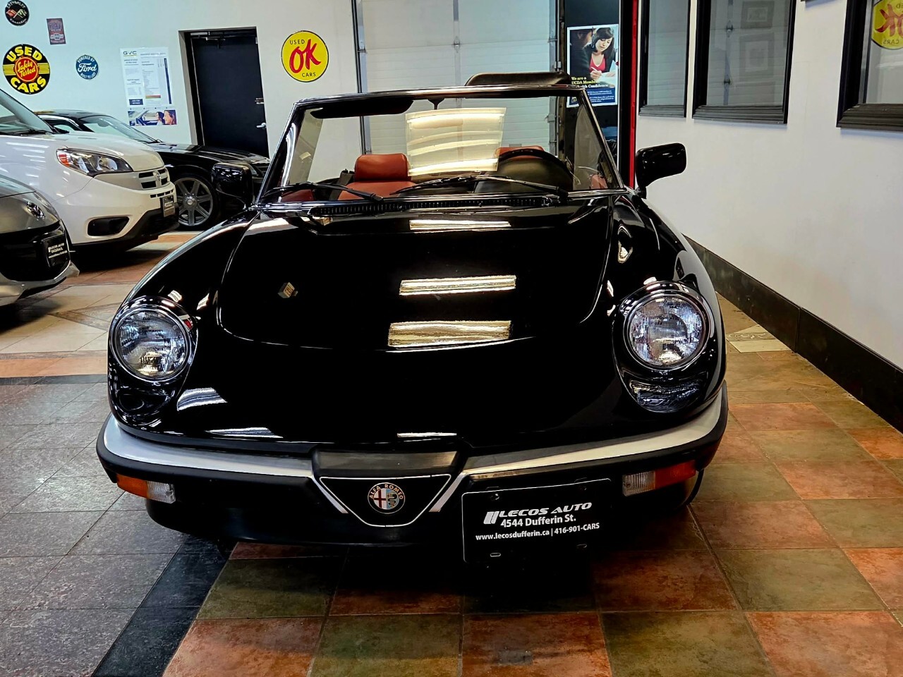 1987 Alfa Romeo Spider