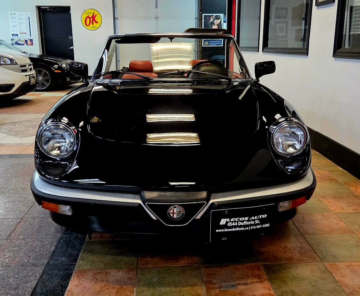 1987 Alfa Romeo Spider