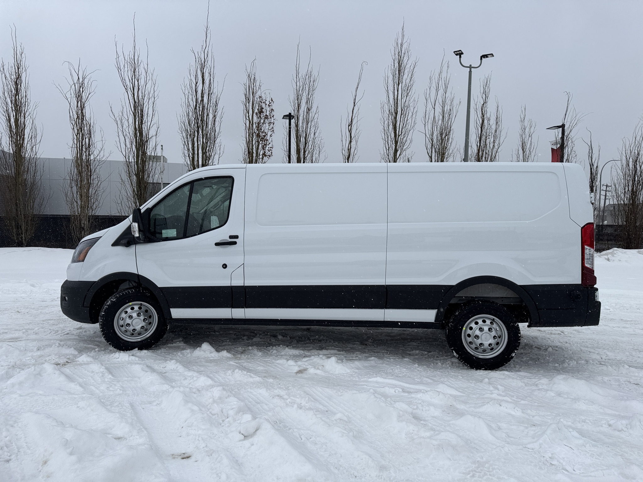 2026 Ford Transit Cargo Van