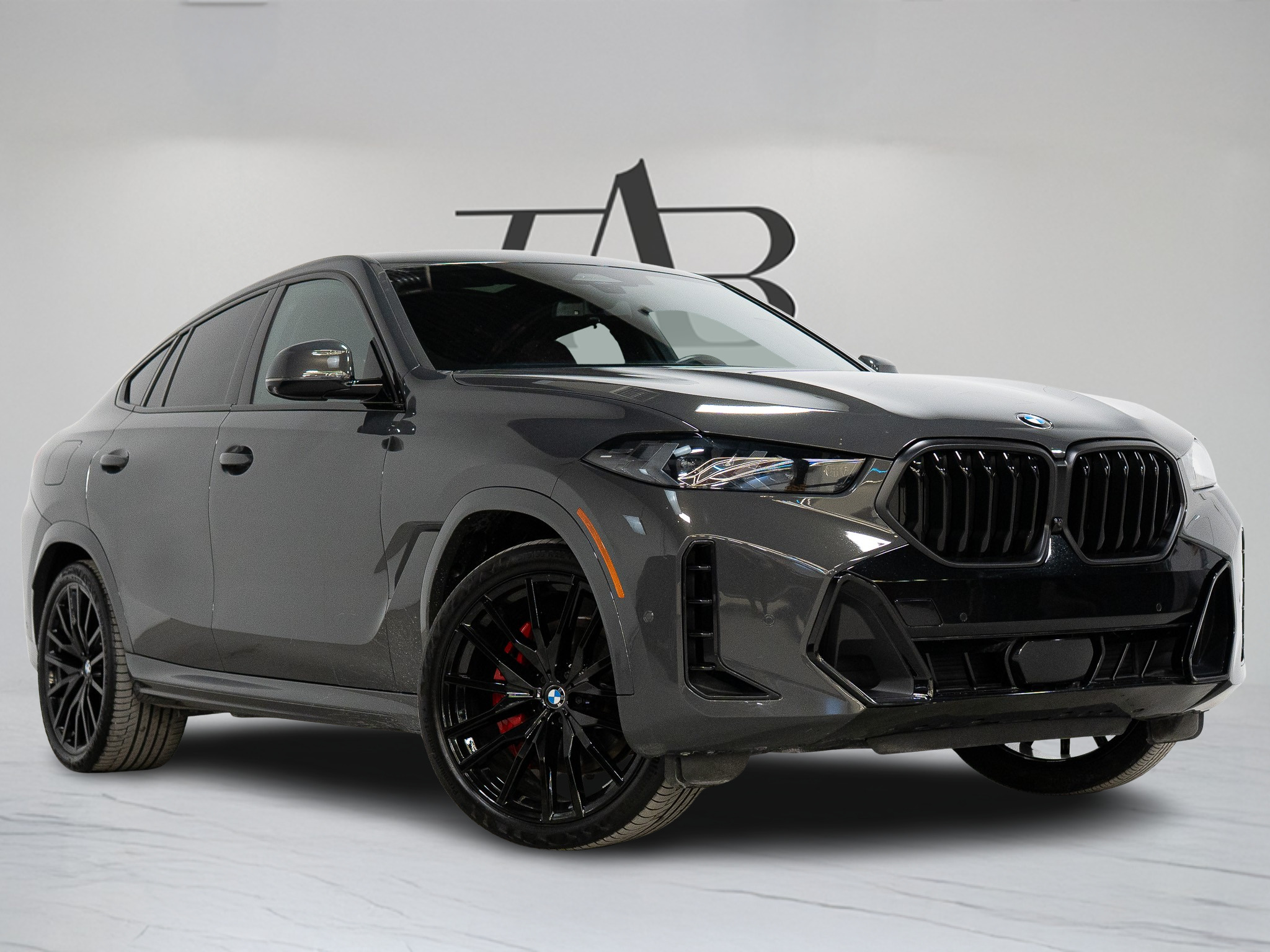2024 BMW X6