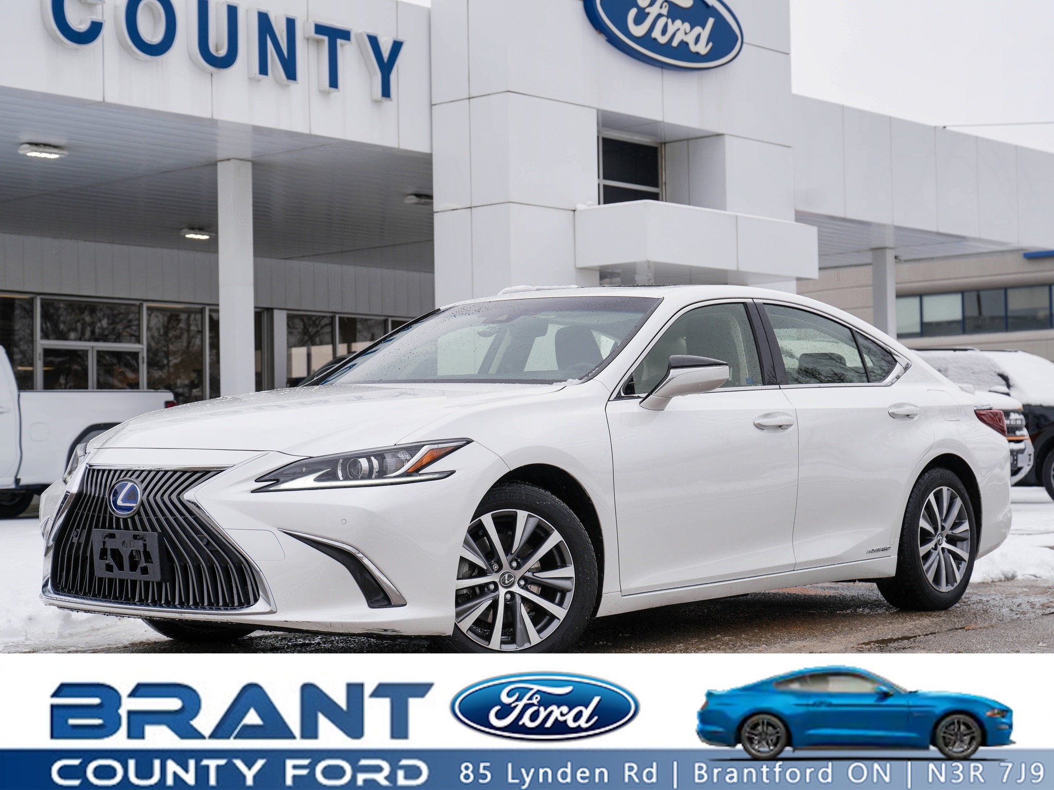 2019 Lexus ES