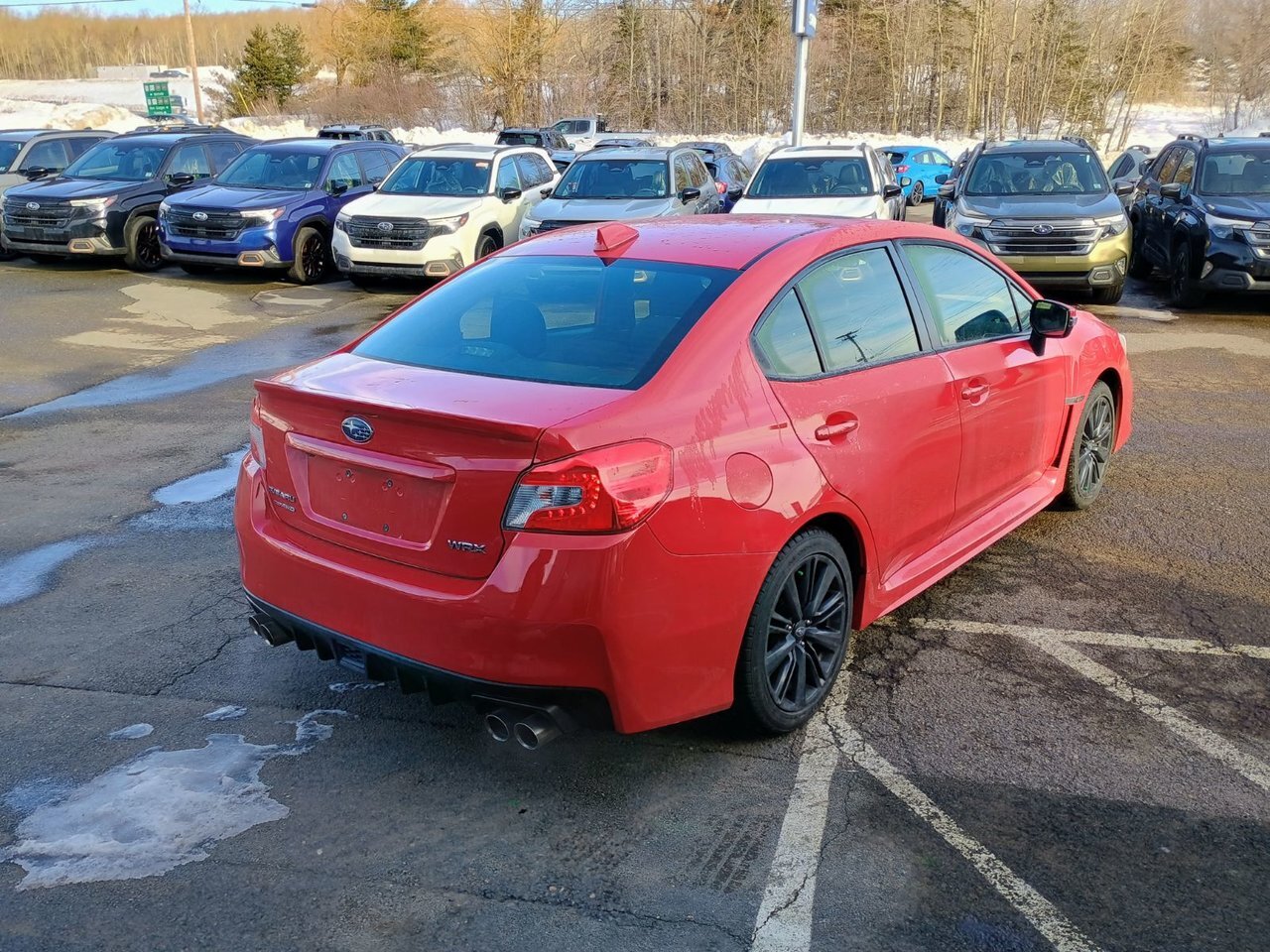 2021 Subaru WRX