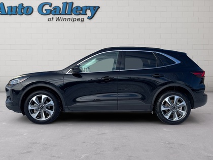 used 2024 Ford Escape car, priced at $27,988