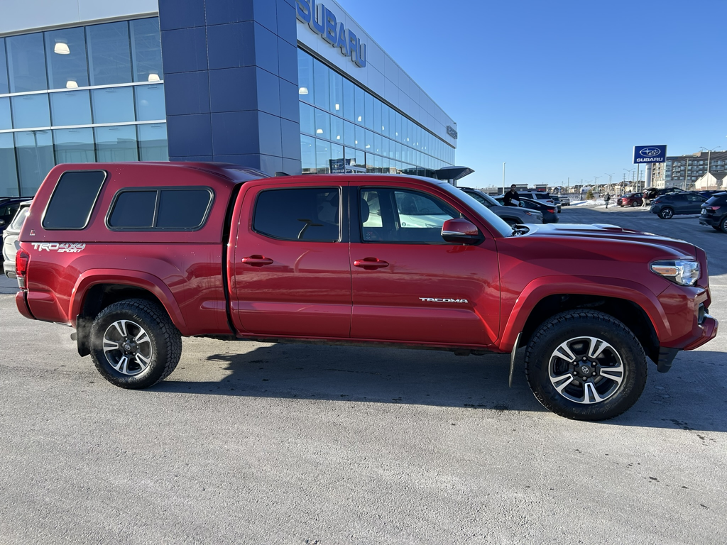 2019 Toyota Tacoma - Gallery image 7