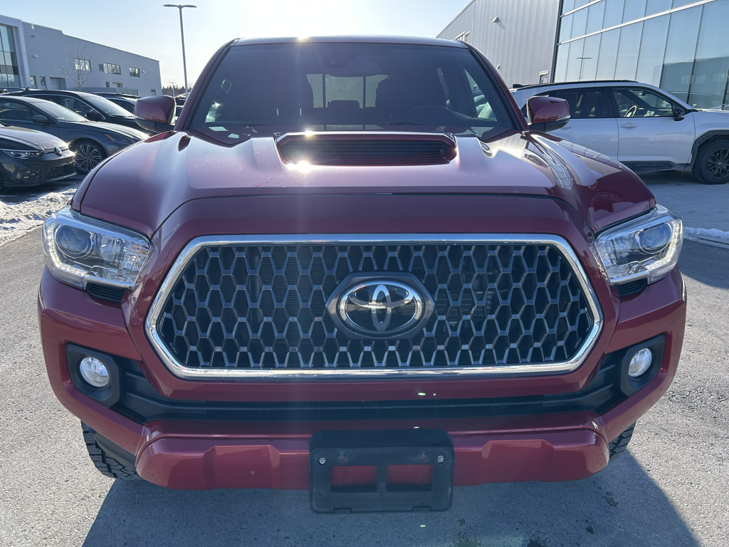 2019 Toyota Tacoma - Gallery image 1