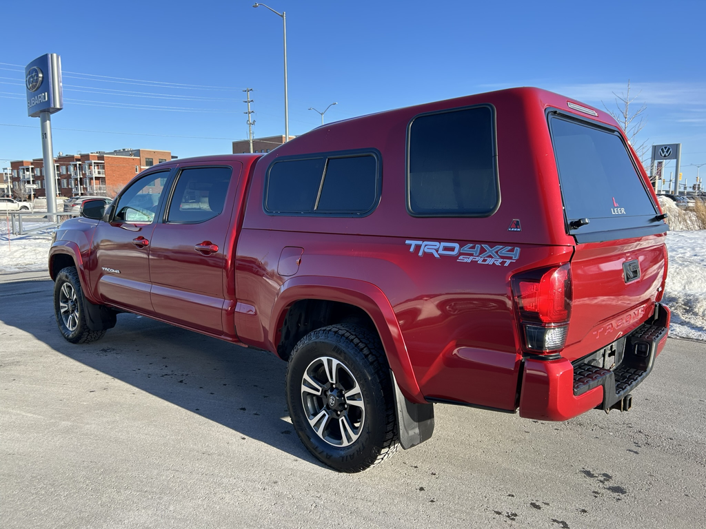 2019 Toyota Tacoma - Gallery image 4