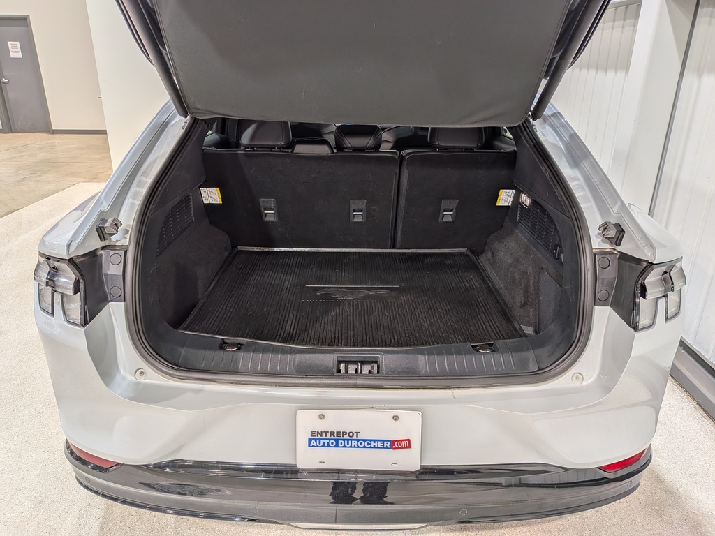 Ford Mustang Mach-E 2022