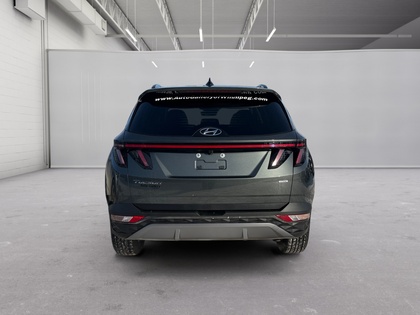 used 2023 Hyundai Tucson car, priced at $29,357