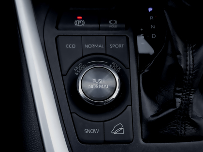 used 2019 Toyota RAV4 car, priced at $24,995