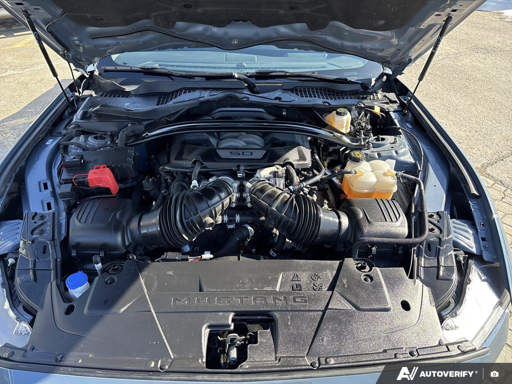 2024 Ford Mustang - Gallery image 9