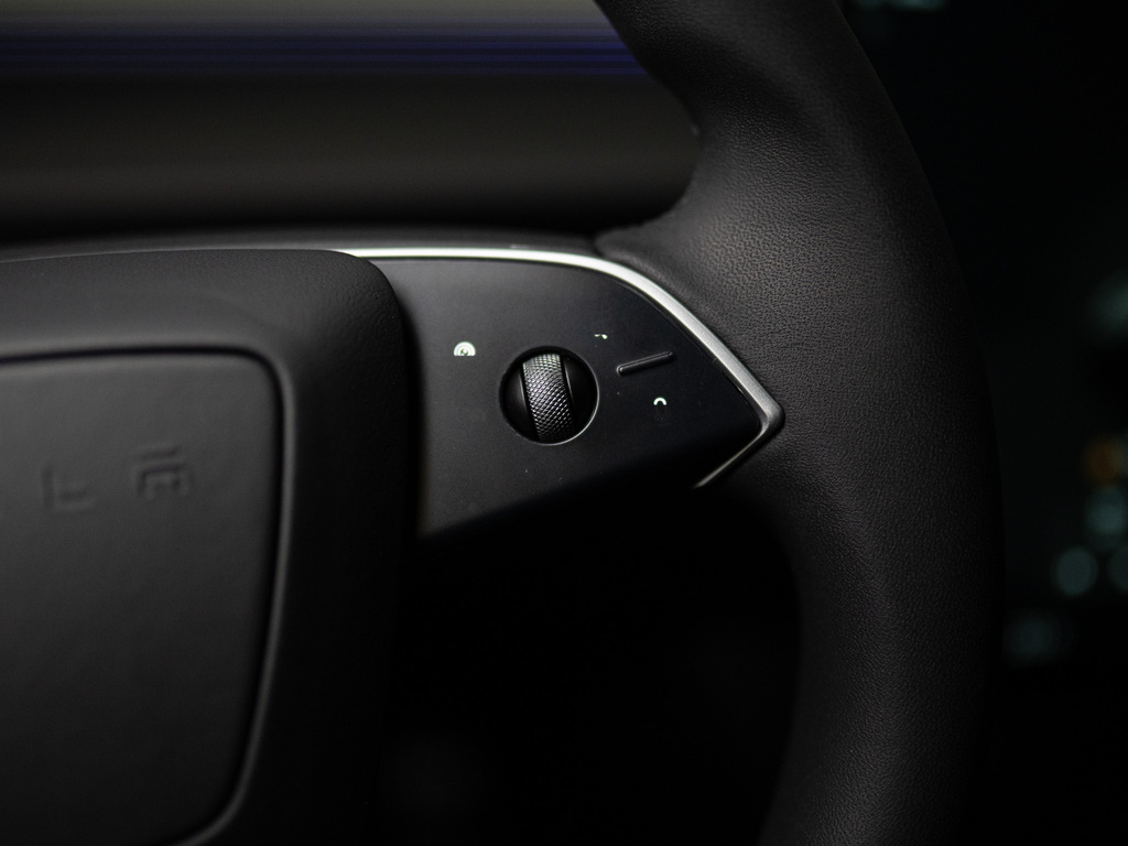 2024 Tesla Model 3 Performance, 多伦多, 全款车