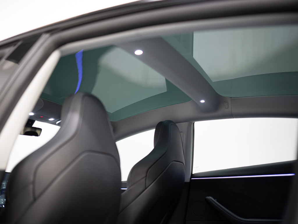 2024 Tesla Model 3 Performance, 多伦多, 全款车