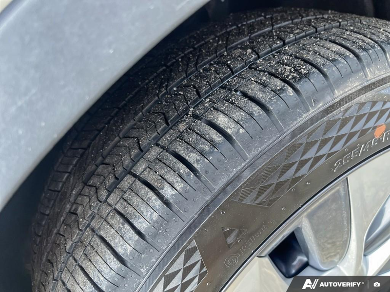 2025 Tesla Model Y - Gallery image 6