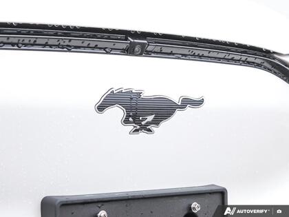 used 2025 Ford Mustang Mach-E car, priced at $46,900