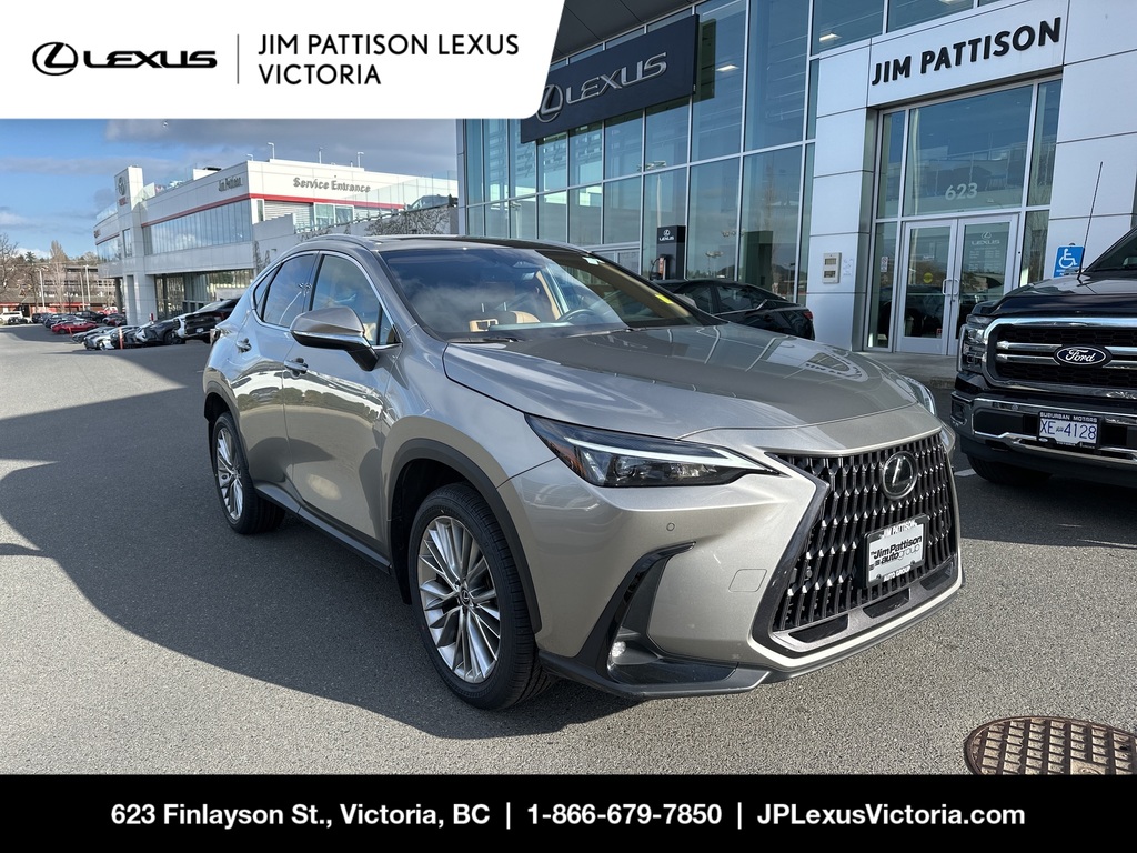 2023 Lexus NX