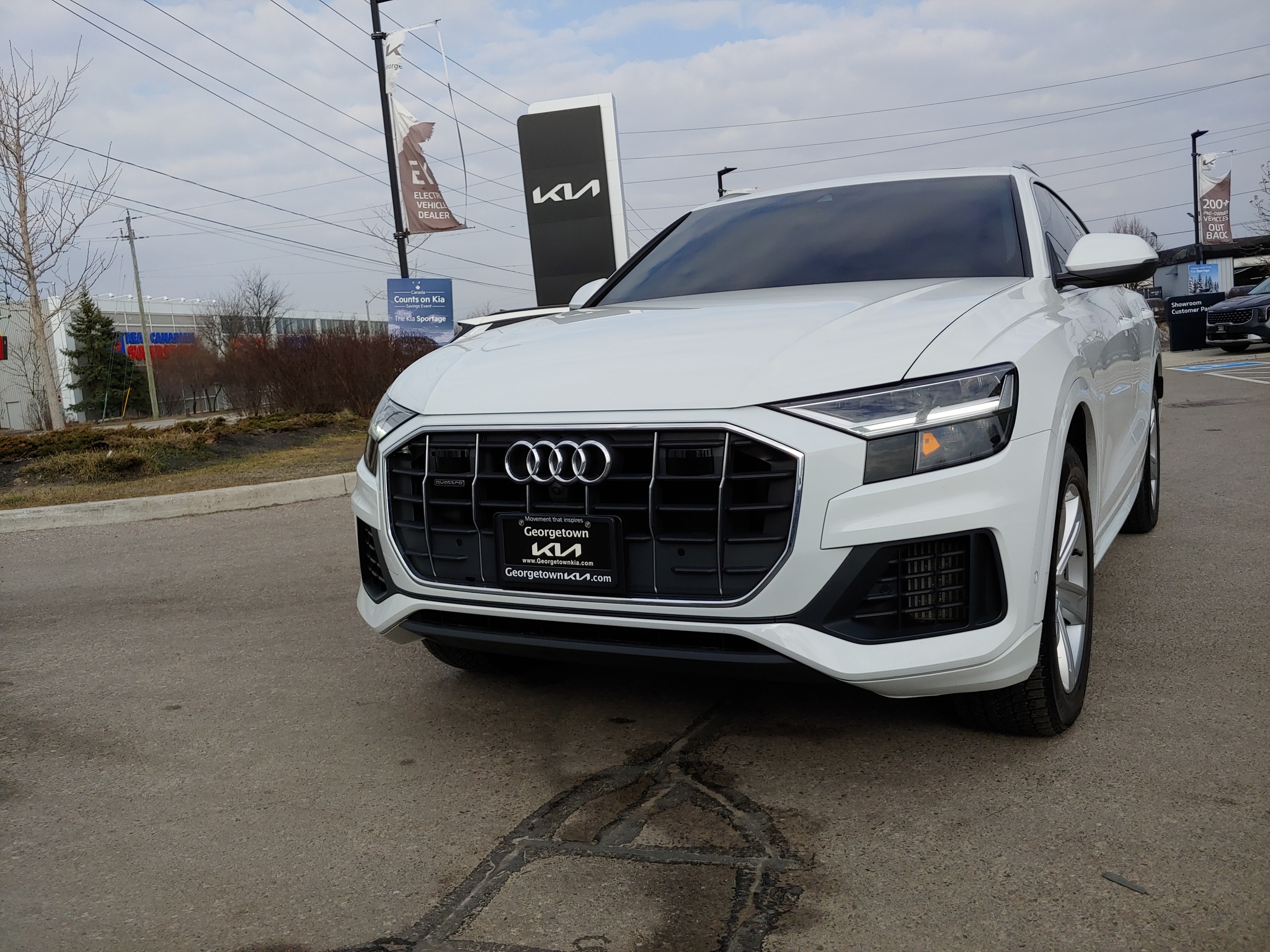 2019 Audi Q8