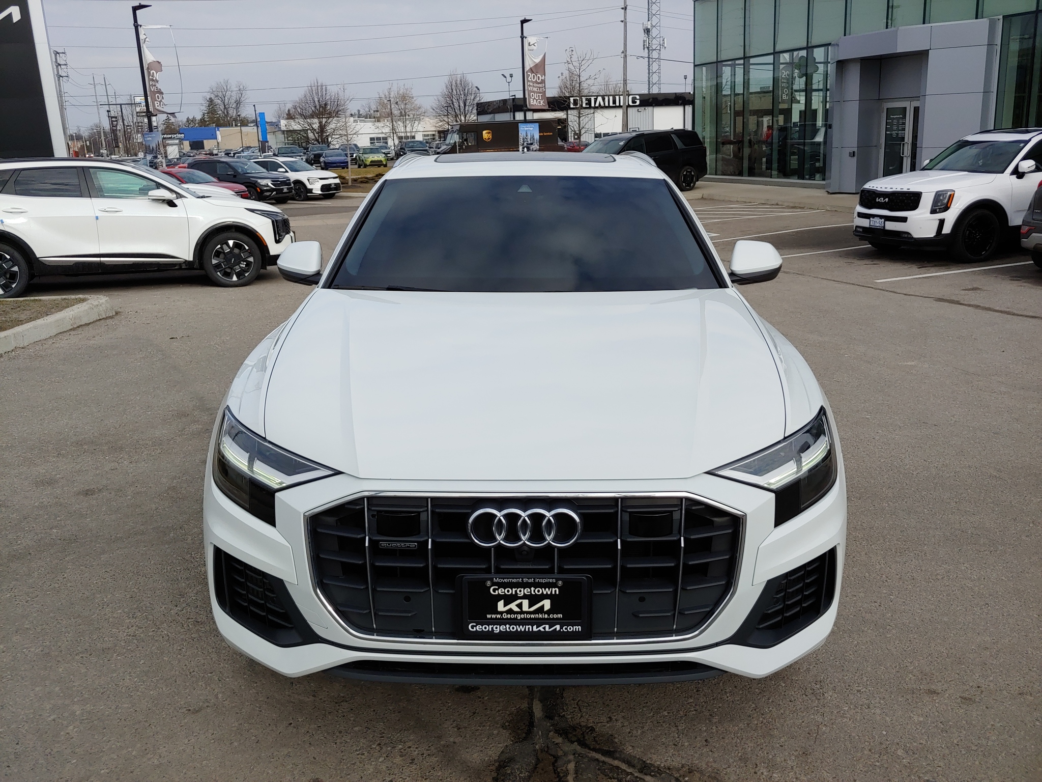 2019 Audi Q8