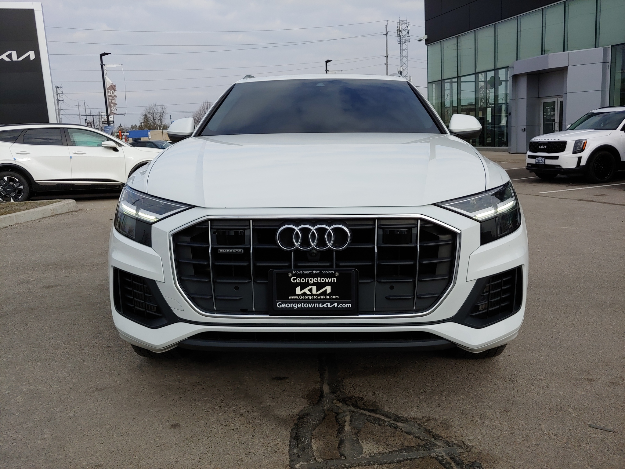 2019 Audi Q8